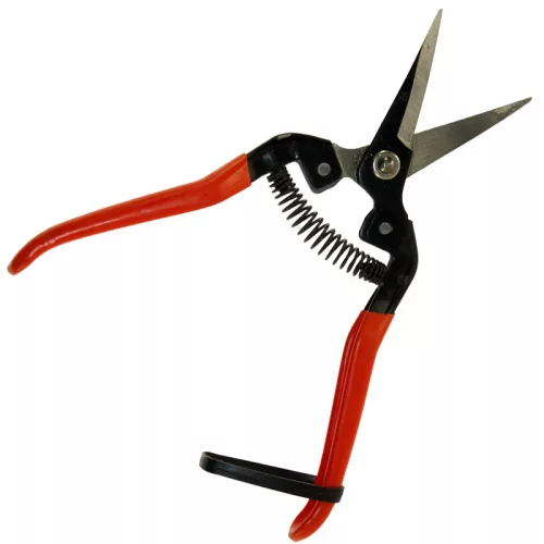 Szüretelő olló 19 cm íves