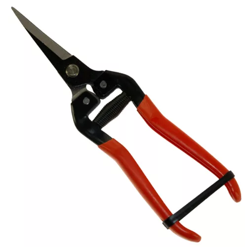 Szüretelő olló 19 cm íves