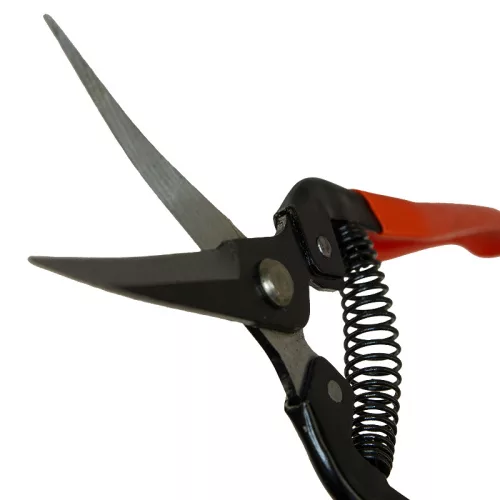 Szüretelő olló 19 cm íves