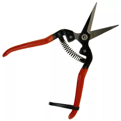 Szüretelő olló 19 cm egyenes