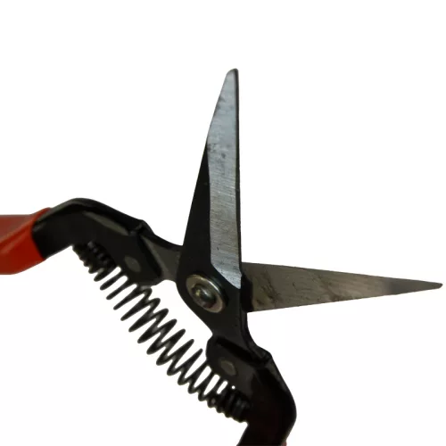 Szüretelő olló 19 cm egyenes