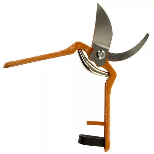 Aromafelszabadító enzim Lallzyme Beta 10g