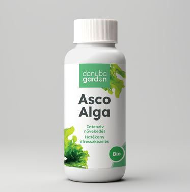 Asco Alga 0,2 L - Tengeri alga az intenzív növekedésért