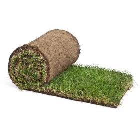 Sport gyepszőnyeg - készgyep PANNON TURFGRASS